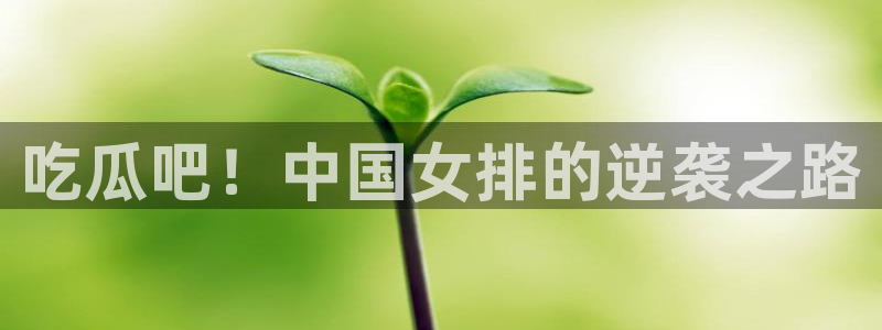 吊瓜树的瓜可以吃吗:吃瓜吧!中国女排的逆袭之路