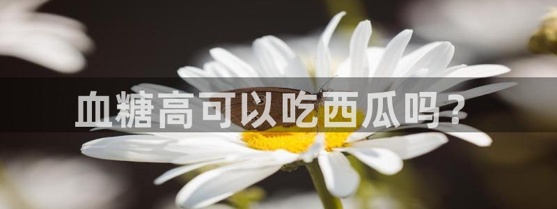 各种网红爆料吃瓜网站:血糖高可以吃西瓜吗?