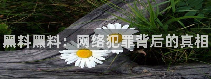 吃瓜群众中的瓜指的是:黑料黑料:网络犯罪背后的真相