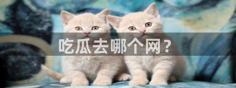 51吃瓜nanataipei:吃瓜去哪个网?