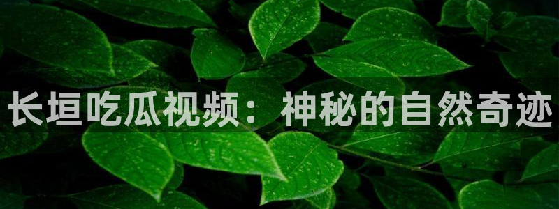 吃瓜吃到自己死讯:长垣吃瓜视频:神秘的自然奇迹