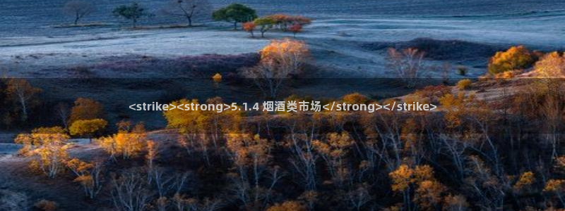 吃瓜吃瓜:<strike><strong>5.1.4 烟酒类市场</strong></strike>