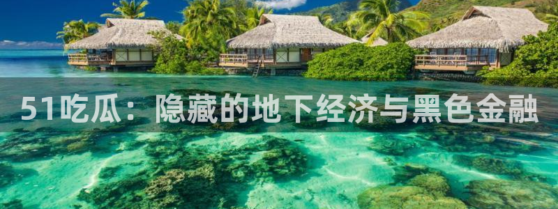 吃瓜胃酸怎么办:51吃瓜:隐藏的地下经济与黑色金融